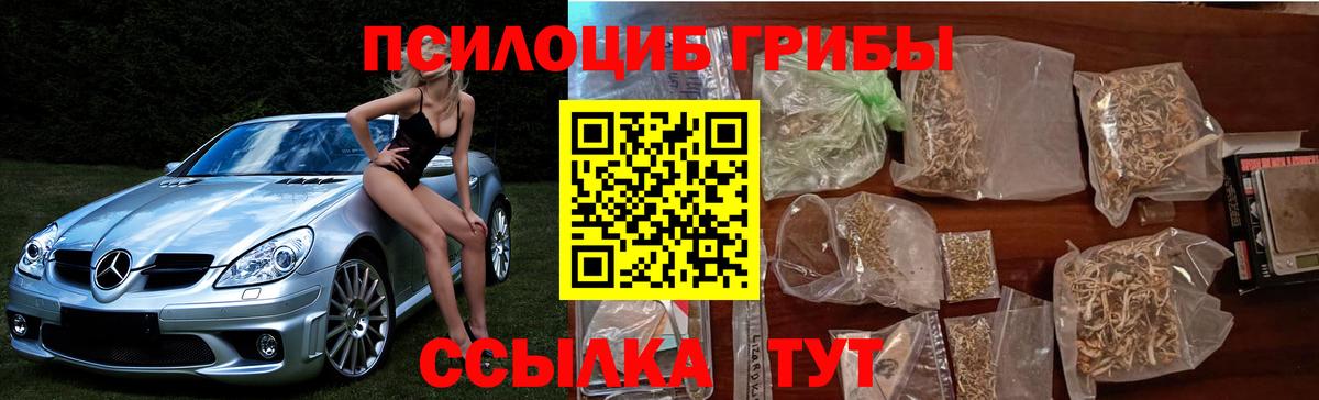 Галлюциногенные грибы мицелий Стрежевой